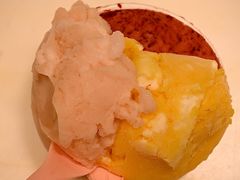 东魁杨梅-红楼HONGLOU Gelato(淮海中路店)