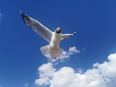 -班公湖