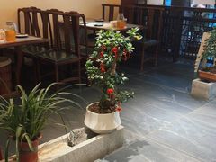 -遇见长安之高山流水(李家村万达店)