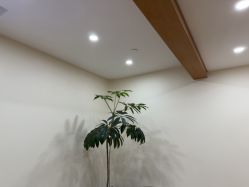 -HEYAN荷妍专业脱毛连锁机构