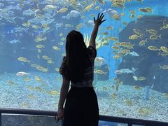 -泉城欧乐堡海洋极地世界