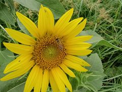 -汉长安城未央宫国家考古遗址公园