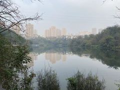 -重庆彩云湖湿地公园