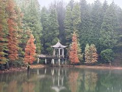 -四明山国家森林公园
