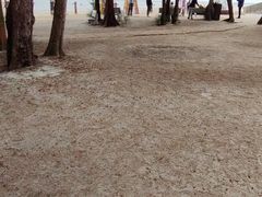 -北海金海湾红树林生态旅游区