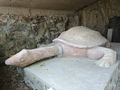 -上海佘山国家森林公园天马山园