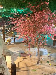 -酷嗒动物文化乐园(cutezoo西溪乐天城店)