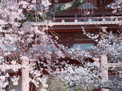-醍醐寺