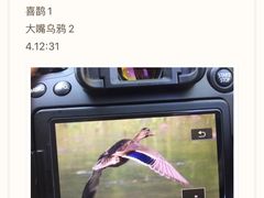 -黑龙潭风景区