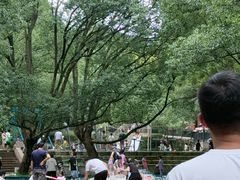 -东明山森林公园