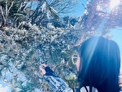 -崂山巨峰游览区