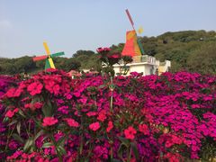 -松山湖梦幻百花洲