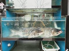 -好灶头妈妈菜·柴火灶台鱼·千岛湖土菜地标美食