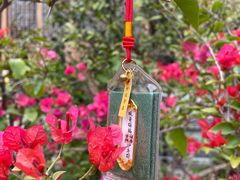 -杭州上天竺法喜讲寺
