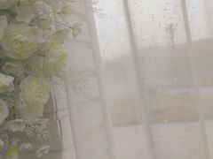 -大塘金香草谷