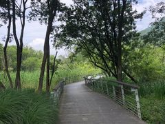 -西湖风景区-江洋畈生态公园