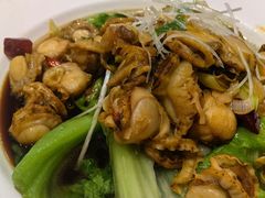 -西兰轩清真菜馆(北顺城街店)