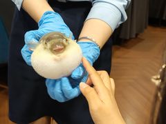 -肆月河豚·新淮扬(金融街店)