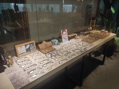 -Trend1881视光·蔡司视觉(领展广场店)