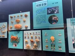 -大连自然博物馆·地球展厅