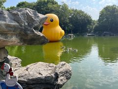 -扬州瘦西湖温泉