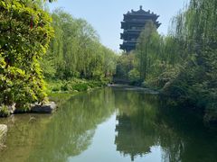 -济南大明湖景区