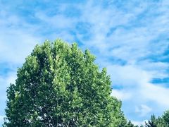 -鉴湖国家城市湿地公园