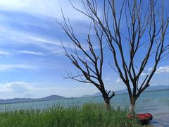 -观澜小洱海