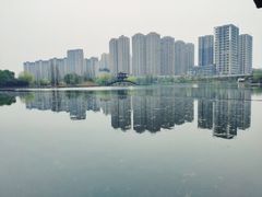 -洋湖国家湿地公园