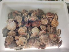 -宾朋海鲜特色美食餐厅·纯手工鲅鱼水饺(兴海路店)