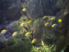-苏州海洋馆