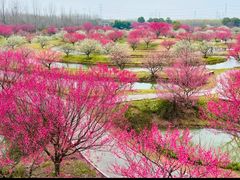 -花开海上生态园