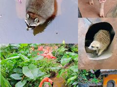 -长鹿旅游休博园