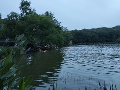 -紫霞湖公园