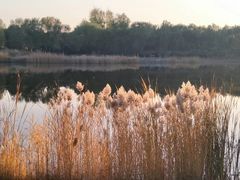 -永定河休闲森林公园