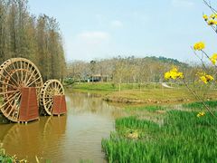 -森波拉奇妙世界