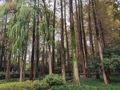 -杭州张苍水先生祠