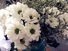 -梅陇花鸟市场-停车场