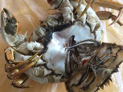 -乡乐园蟹庄·阳澄湖农家乐