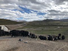 -扁都口生态休闲旅游区