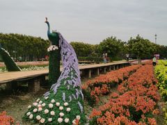 -广东花都香草世界旅游度假区