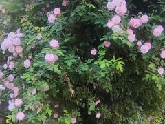 -长阳创谷