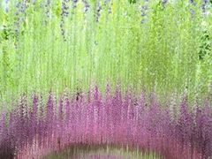 -济南方特东方神画