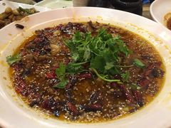 -八张桌子(老店)