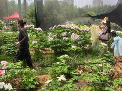 -洛阳市隋唐城遗址植物园