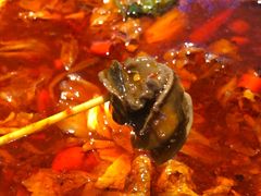 -老闵田螺馆·南昌市井菜·特色小吃(总店)