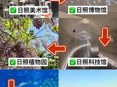 -日照灯塔风景区