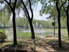 -东升八家郊野公园