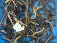 -海精英海鲜世界(台海路店)