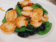 甜蜜豆炒澳洲带子-庄隐阁(悠方广场店)